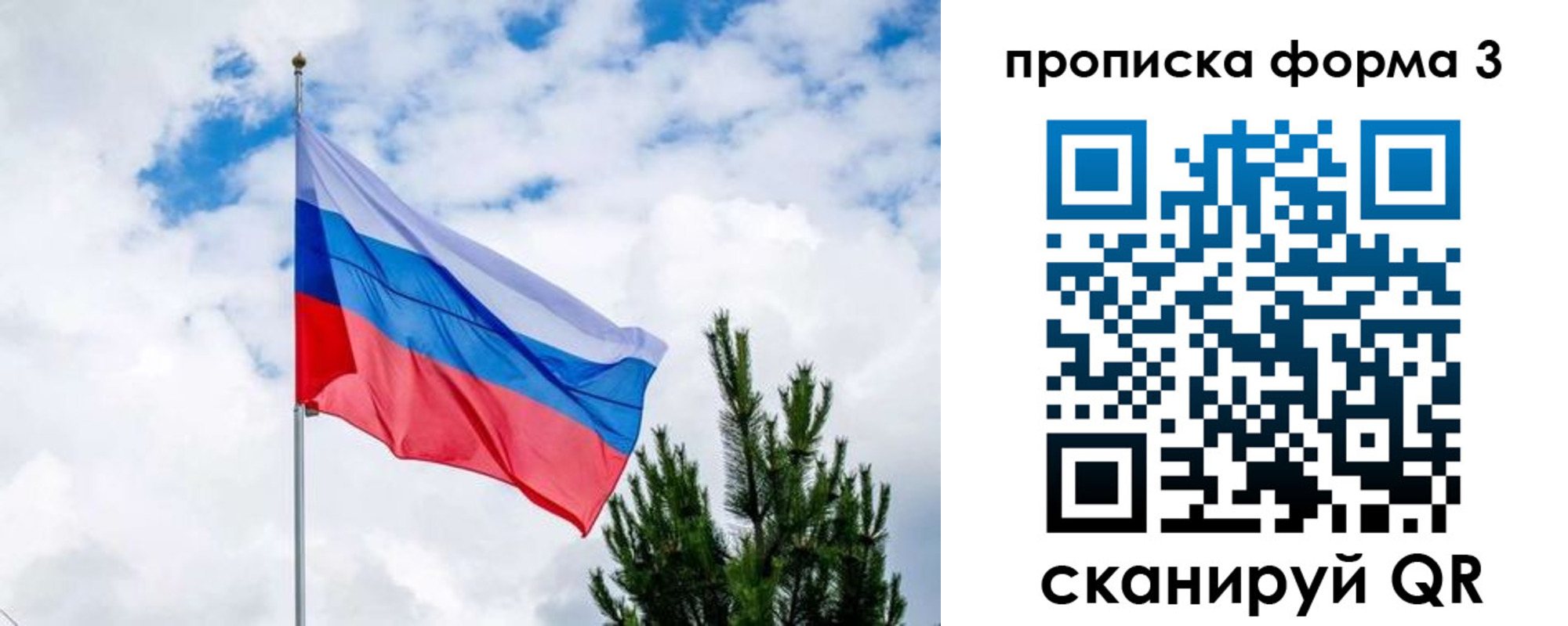 прописка для школы в Шумихе
